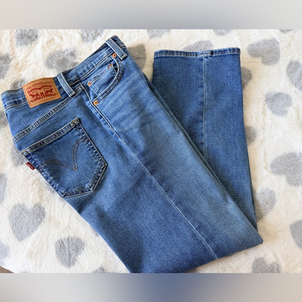 Levi's Classic Straight Legs Jeans